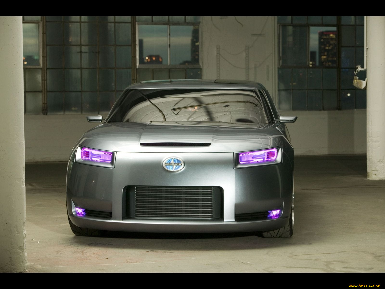 , scion
